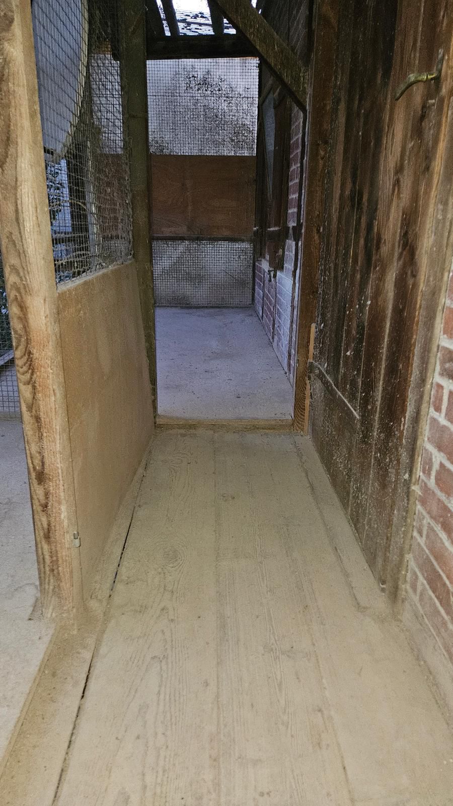 Nach der Reinigung durch Katharis (2)