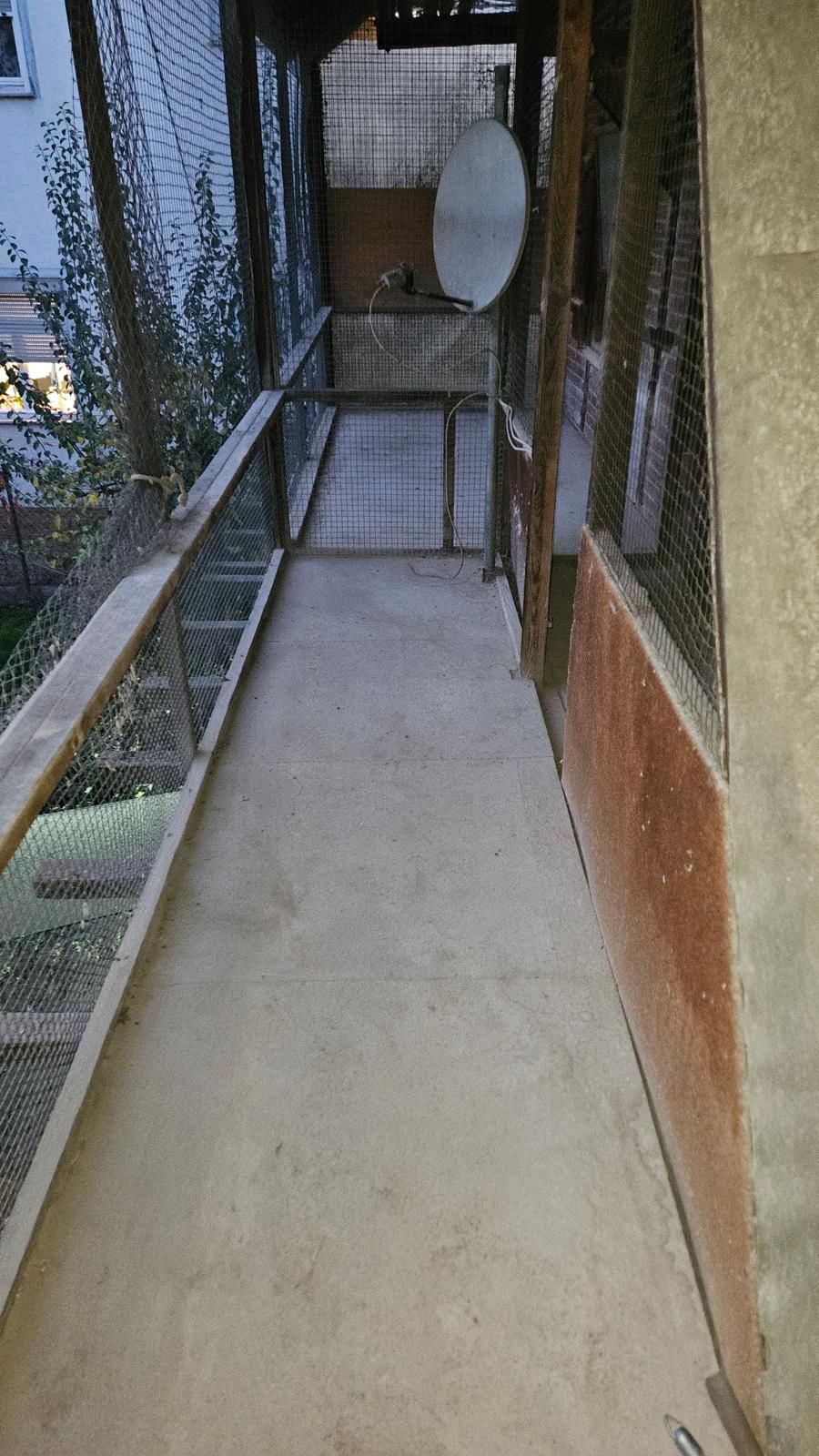 Nach der Reinigung durch Katharis