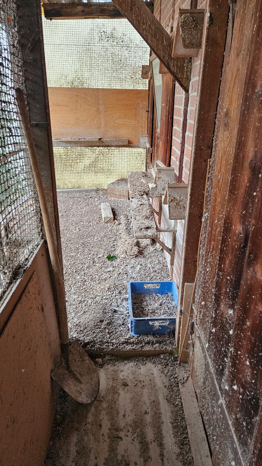 Vor der Reinigung – Taubenschlag (2)