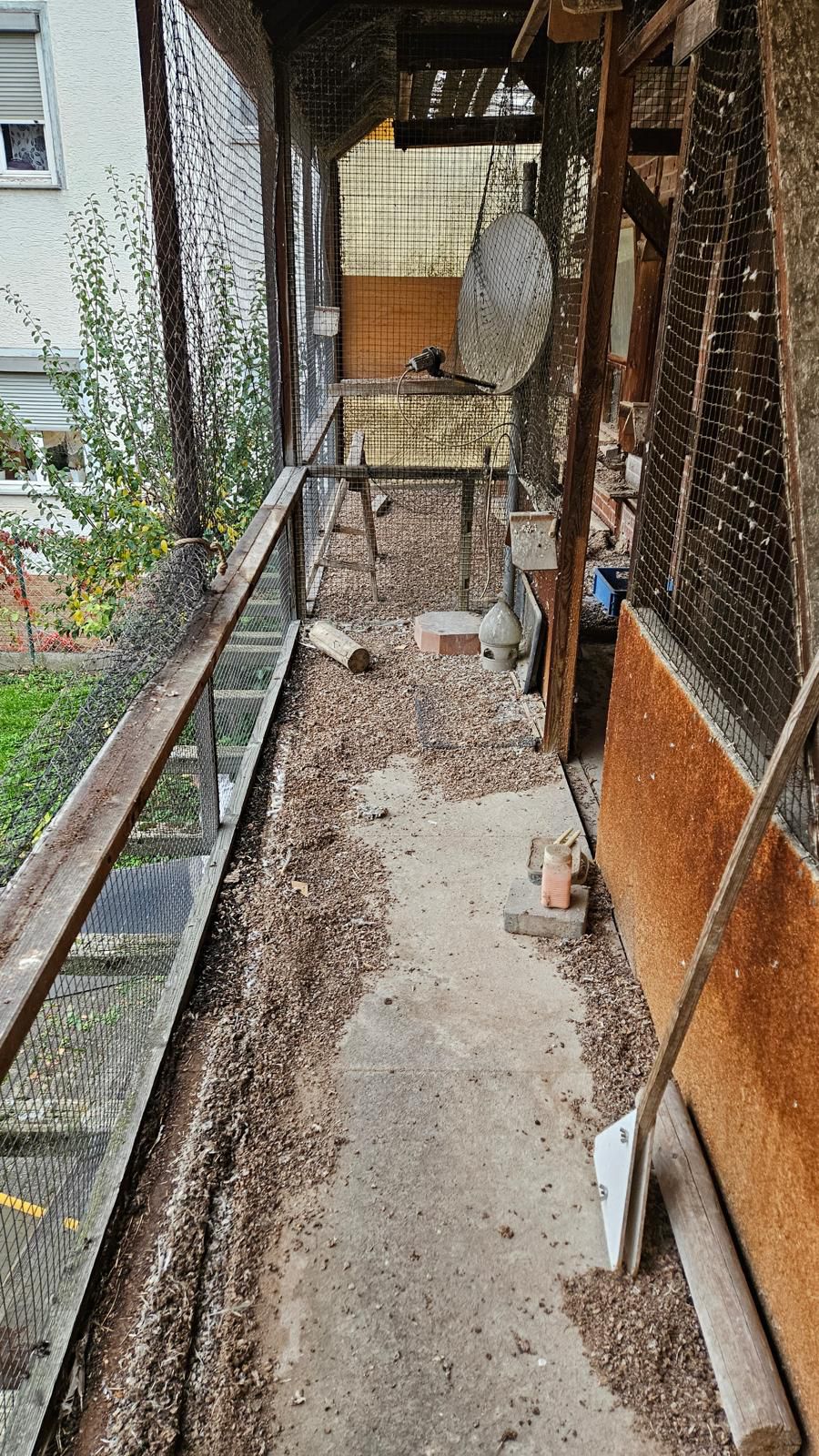 Vor der Reinigung – Taubenschlag